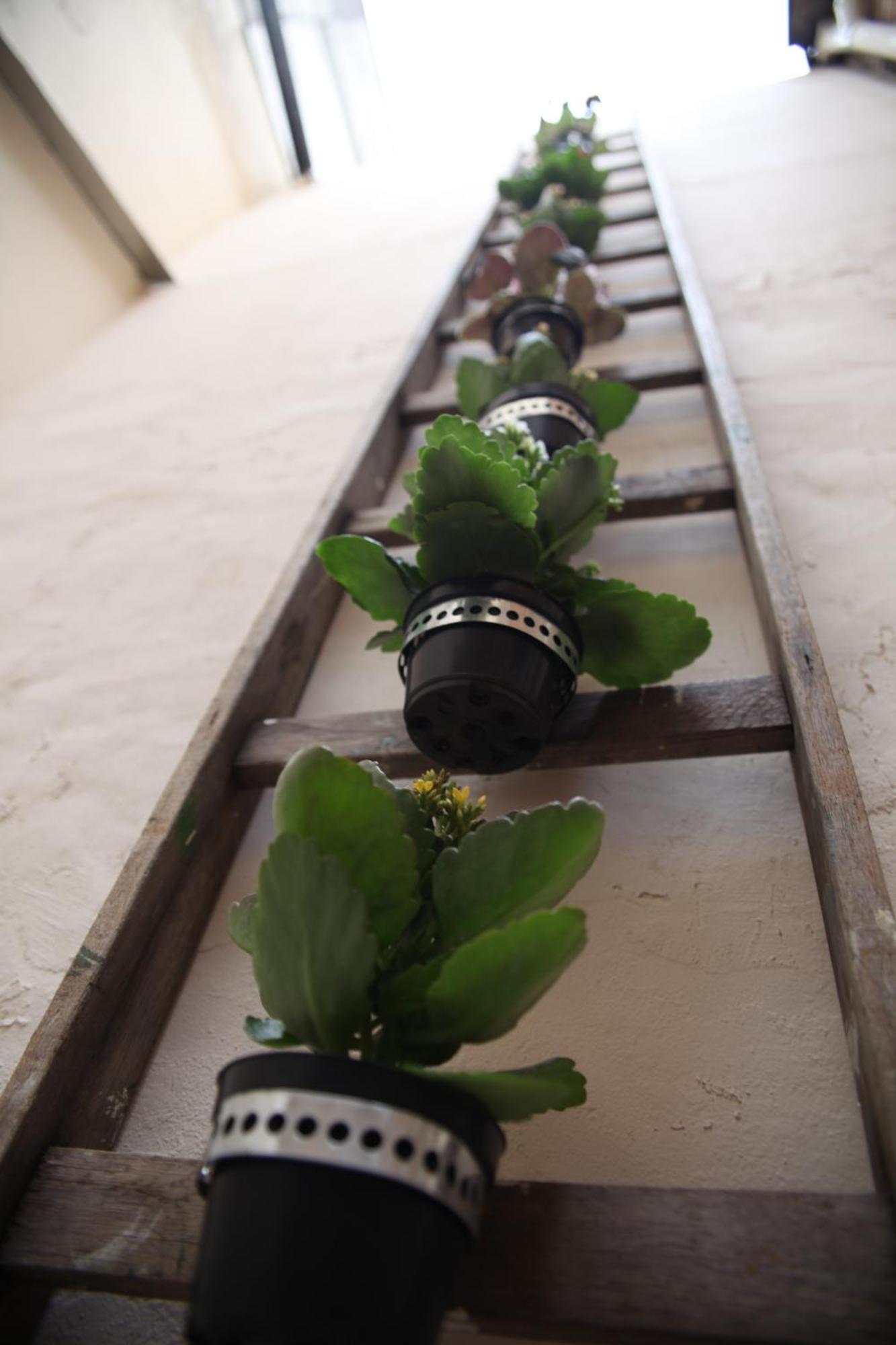 Soul Hostel Av Paulista Bela Vista 1 サンパウロ 部屋 写真